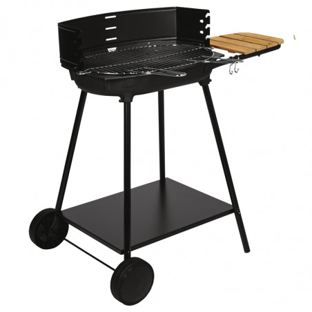 Barbecue charbon de bois cuisson grill