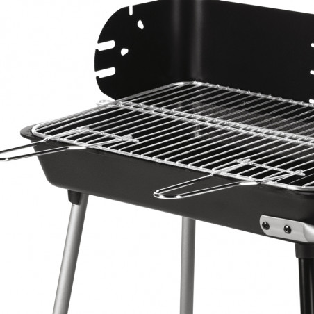 Barbecue charbon de bois cuisson grill