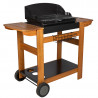 Barbecue charbon de bois cuisson grill