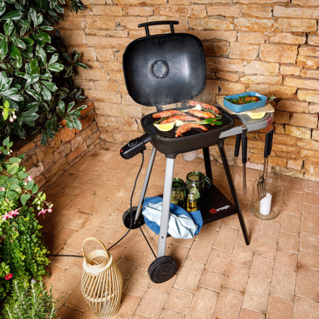 Cuisson barbecue Voltiz