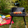 Barbecue charbon de bois idéal pour le pique-nique