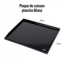 Plaque de cuisson en Fonte