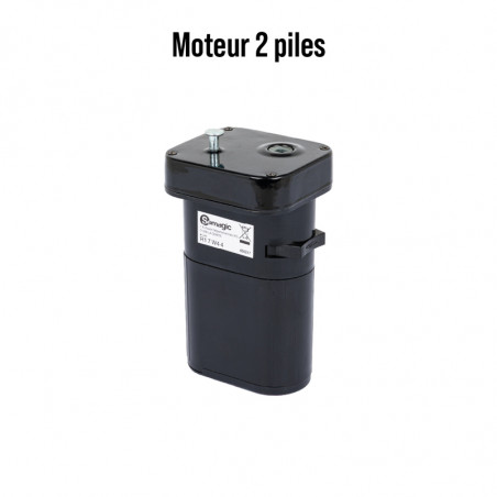 Moteur 2 Piles