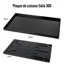 Plaque de cuisson en Fonte