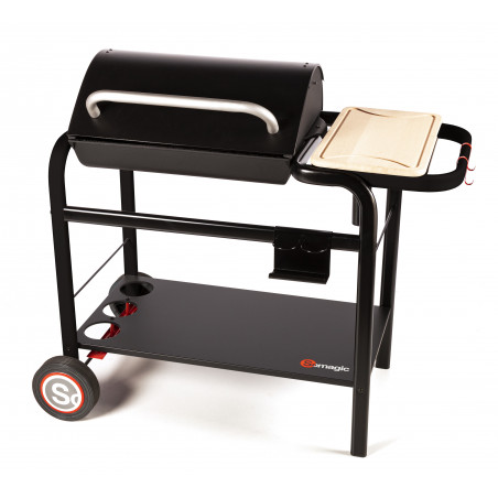 Barbecue charbon de boisHAWAI cuisson four