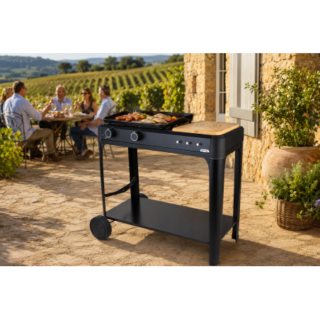 Plancha gaz sur chariot HENDAYE 250 – 2 brûleurs - plancha fonte
