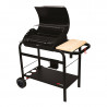 BARBECUE FONTE HAWAI