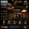 BARBECUE FONTE HAWAI