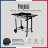 Plancha fonte gaz