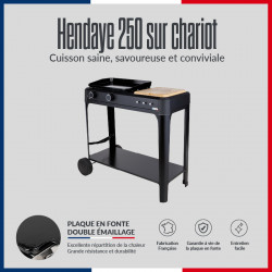 plancha fonte sur chariot