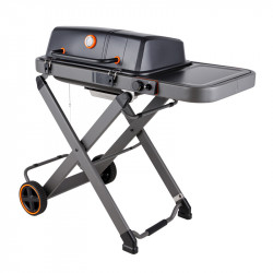 MISSOURI 100 – Barbecue à...