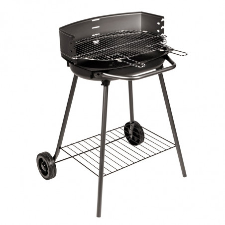 Barbecue charbon de bois cuisson grill