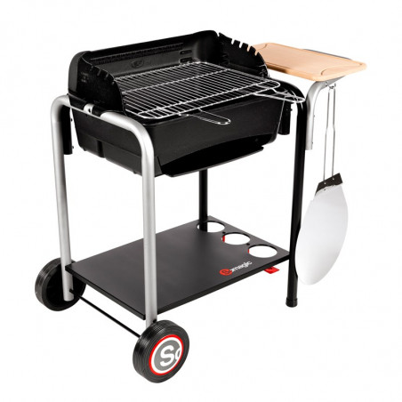 Barbecue charbon de bois cuisson grill