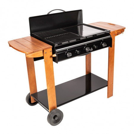 Barbecue gaz cuisson grill et plancha