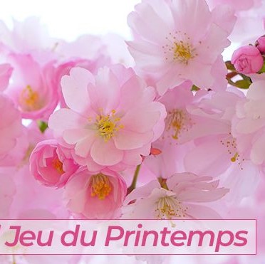 Grand jeu du Printemps sur "femmeactuelle.fr" du 25/03 au 7/04, 3 planchas à gagner