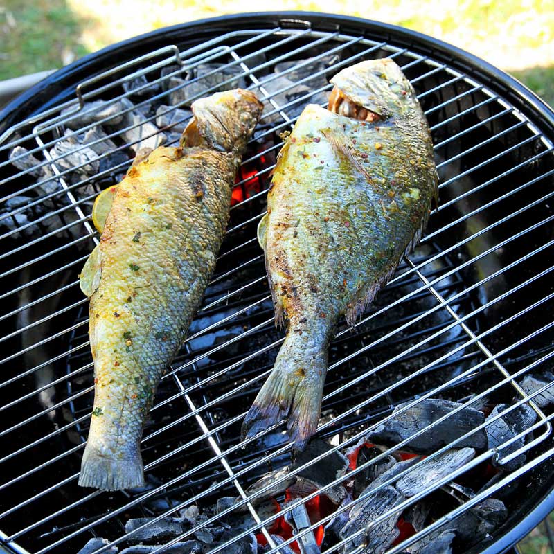 Duo de bar et daurade marinés aux épices marocaines